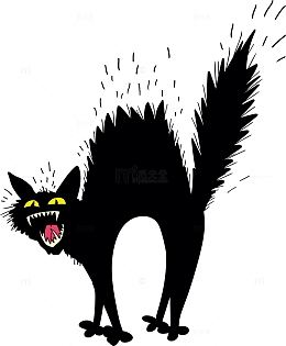 吓人的黑猫