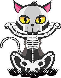 黑色骷髅猫咪