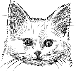创意猫头像矢量手绘速写猫咪
