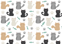 小猫壁纸