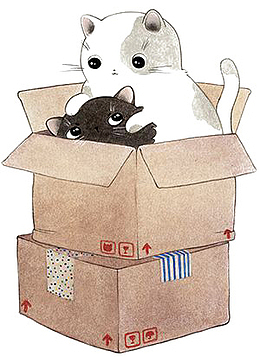 流浪猫