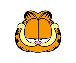 橙色的加菲猫