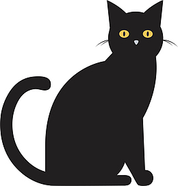 灵异黑猫