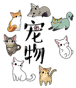 卡通宠物猫