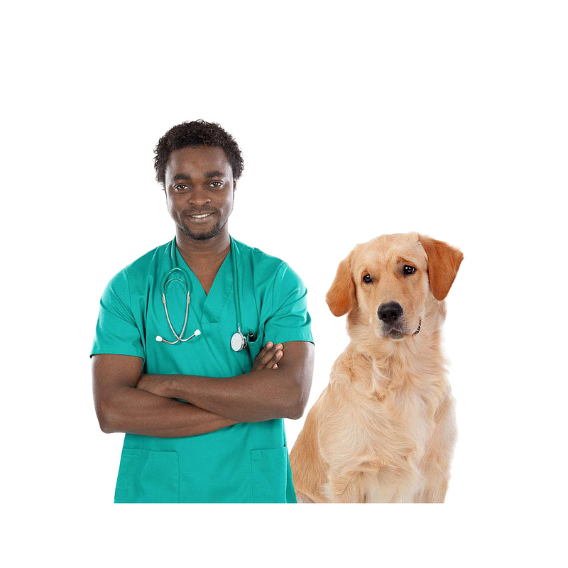 宠物医生和狗狗