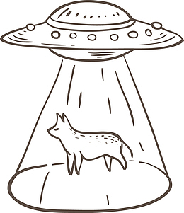 飞船和小猫简笔画