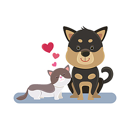 关系友好的小狗小猫