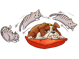 可爱的猫和狗简图