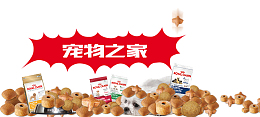 宠物店宣传单宠物之家