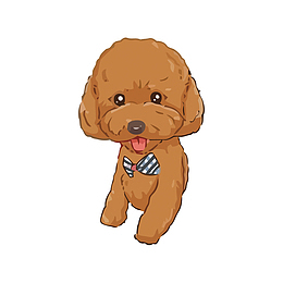 矢量宠物犬泰迪犬