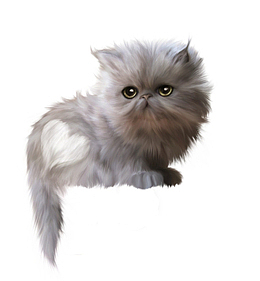 可爱小猫