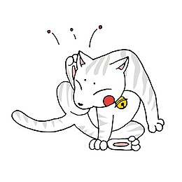 挠痒痒的猫咪