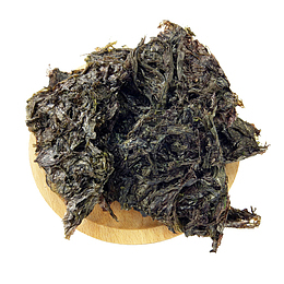 紫菜片摄影