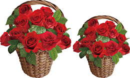 鲜花篮子