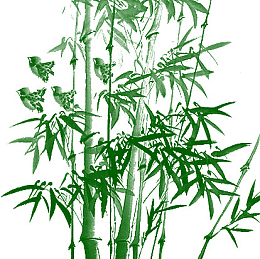 竹子