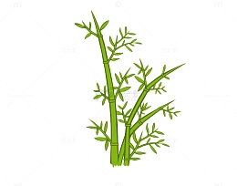 可爱小竹子丛生竹林
