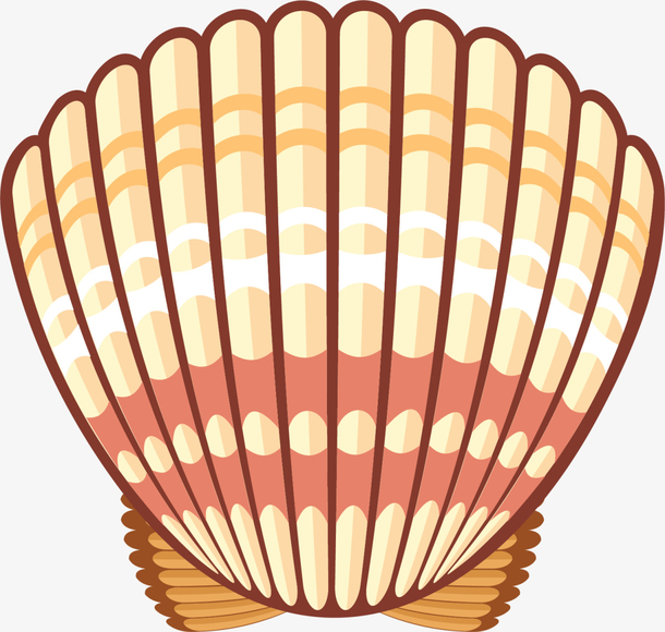 黄色闪耀卡通贝壳