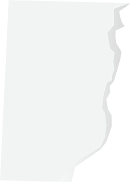 碎裂的撕碎的办公纸