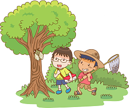 捕捉知了的小孩
