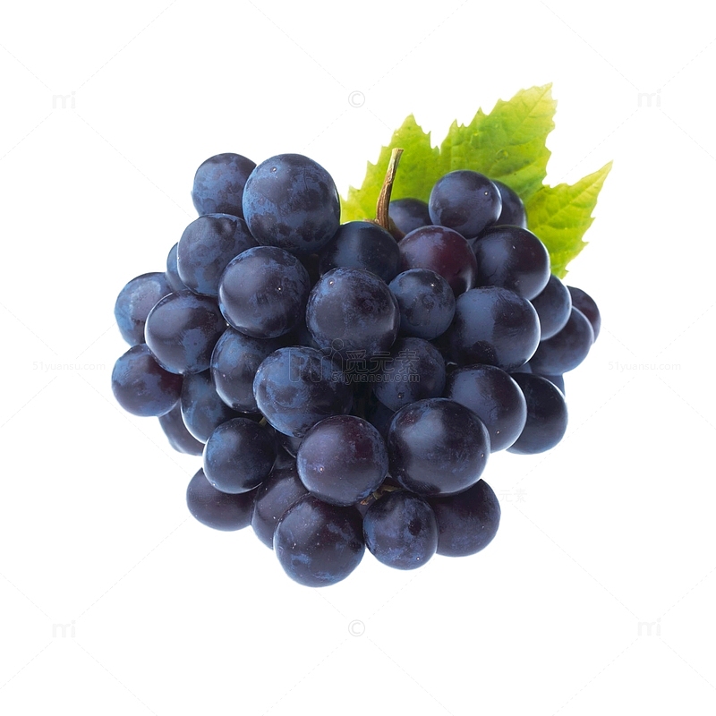 黑色生鲜葡萄提子