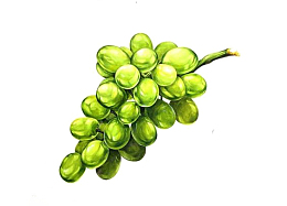 绿色葡萄免扣元素