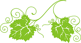 手绘绿色葡萄叶子