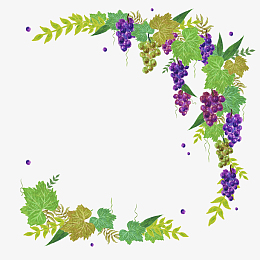 创意简约美食手绘葡萄园免抠图