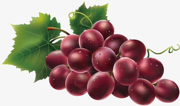葡萄卡通矢量素材素材_葡萄卡通矢量素材图片元素-觅元素