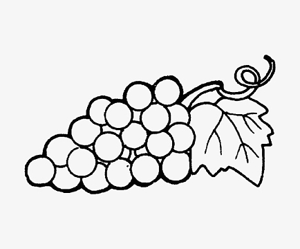 圆形可爱葡萄简笔画