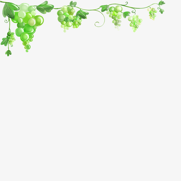 关键词 : 葡萄,挂饰,装饰图案,背景元素[声明] 觅元素所有素材为用户