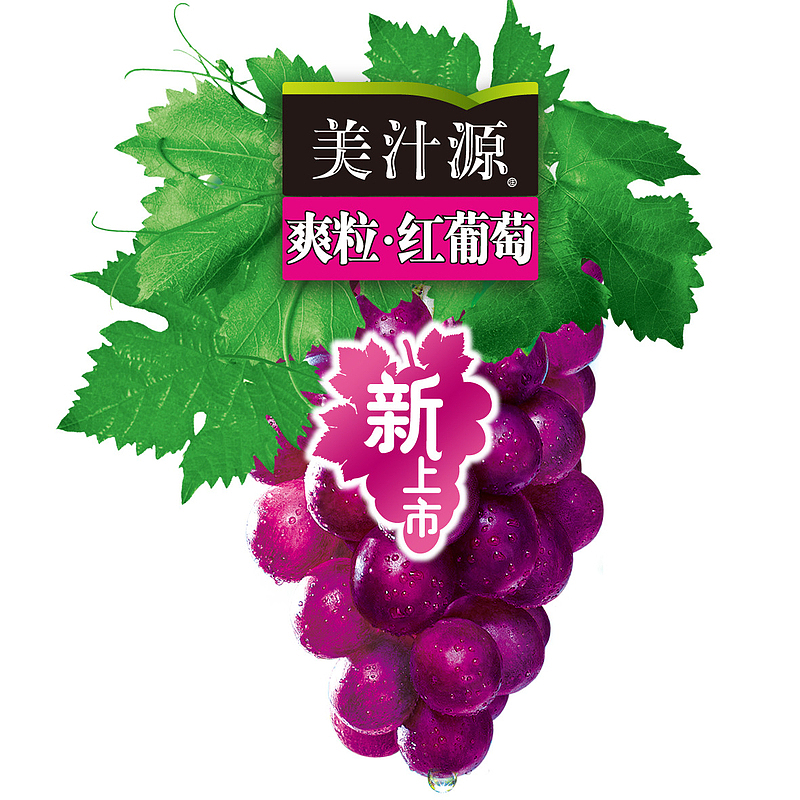 美汁源葡萄logo