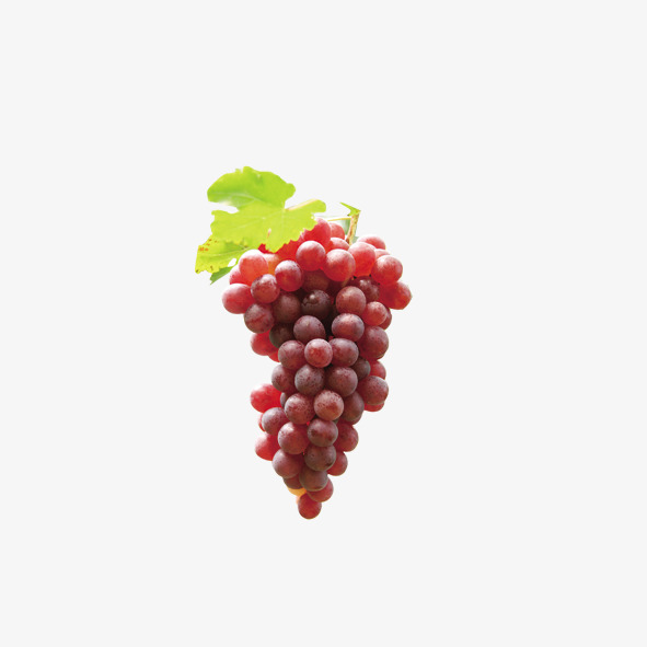 水果免抠素材免费下载_觅元素51yuansu.com