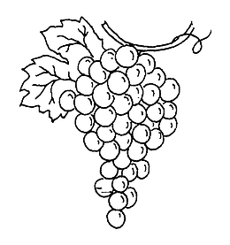 颗粒可爱葡萄简笔画
