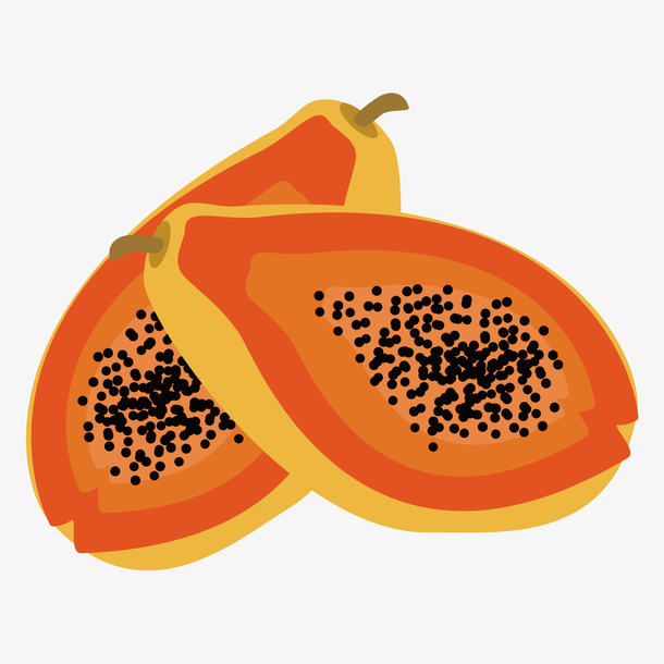 初夏水果木瓜矢量