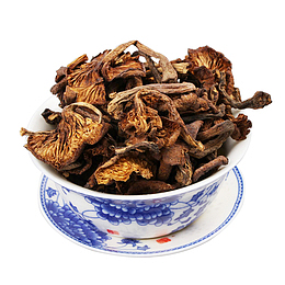 茶杯里的榛蘑图片素材