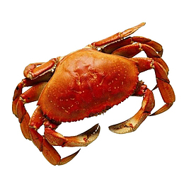 河里河蟹