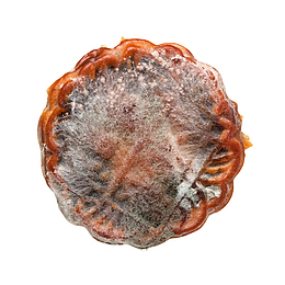 一个发霉的中秋季月饼