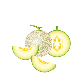 甜瓜哈密瓜