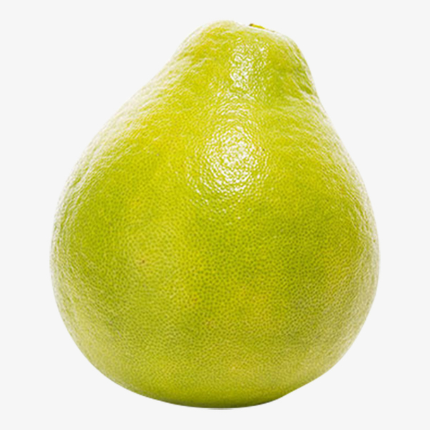 柚子沙田柚素材免费下载_觅元素
