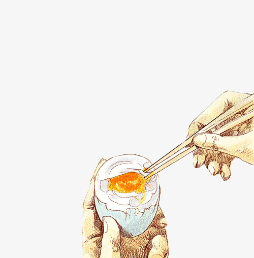 手绘美食咸鸭蛋黄
