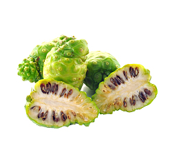 诺丽果图片