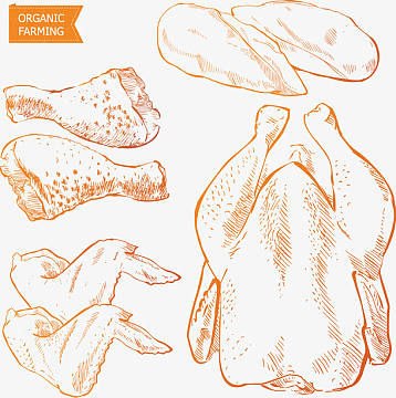 手绘鸡肉素材_手绘鸡肉图片元素-觅元素