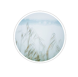 二十四节气白露唯美海报背景素材