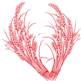 二十四节气小满红色稻谷小清新海