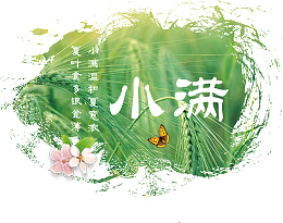 五谷丰收小满海报