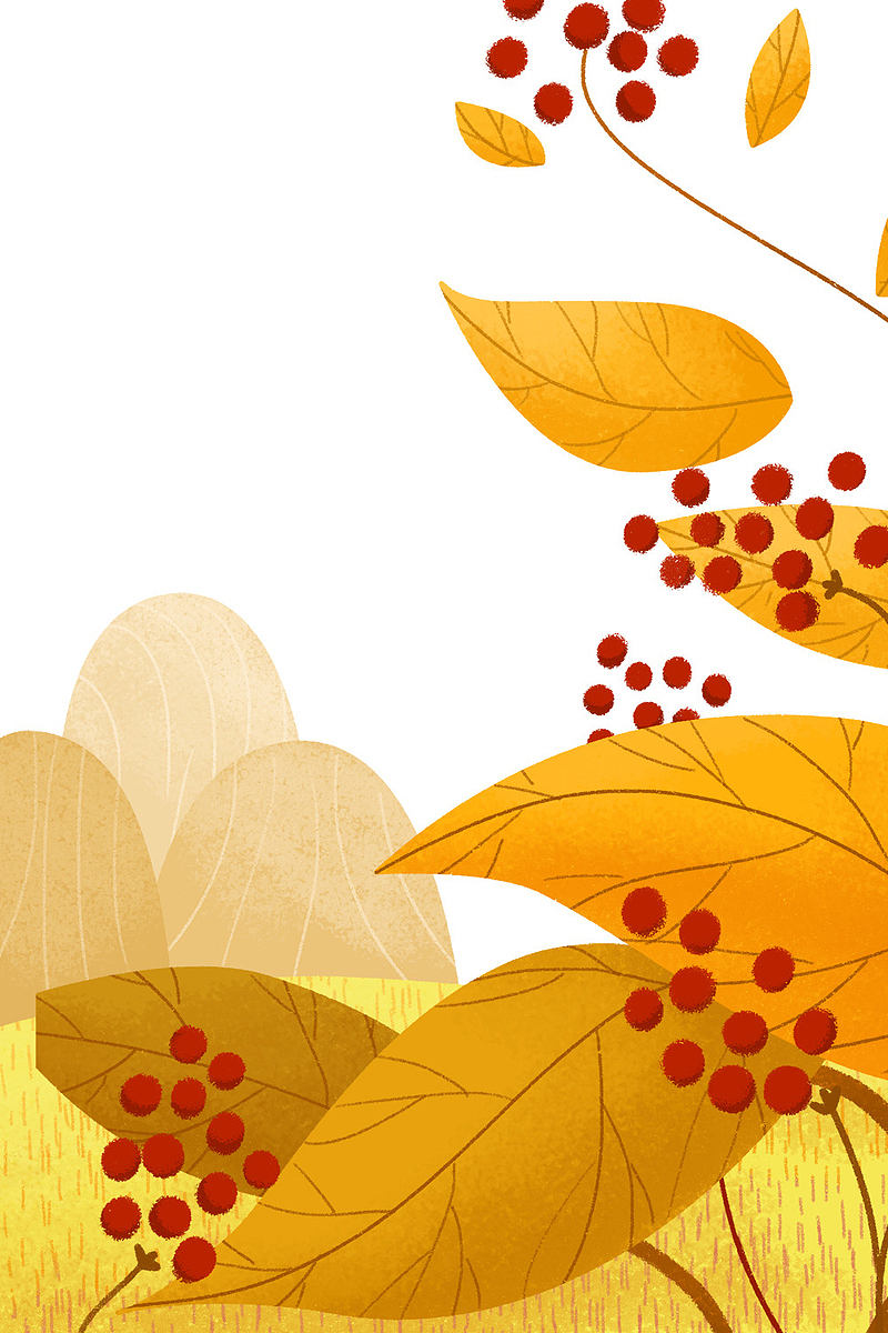 二十四节气之秋分叶子装饰边框