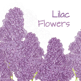 手绘浪漫紫丁香花丛插画免抠