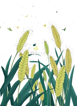 手绘24节气大暑小暑主题海报插画