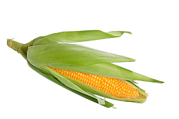 玉米