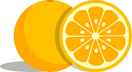 矢量图卡通黄色橙子